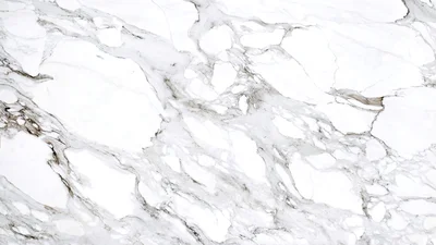 Arbescato Vagli Marble